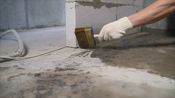 Top rated local Wet Basement Repair specialists in Mechanicsville, VA